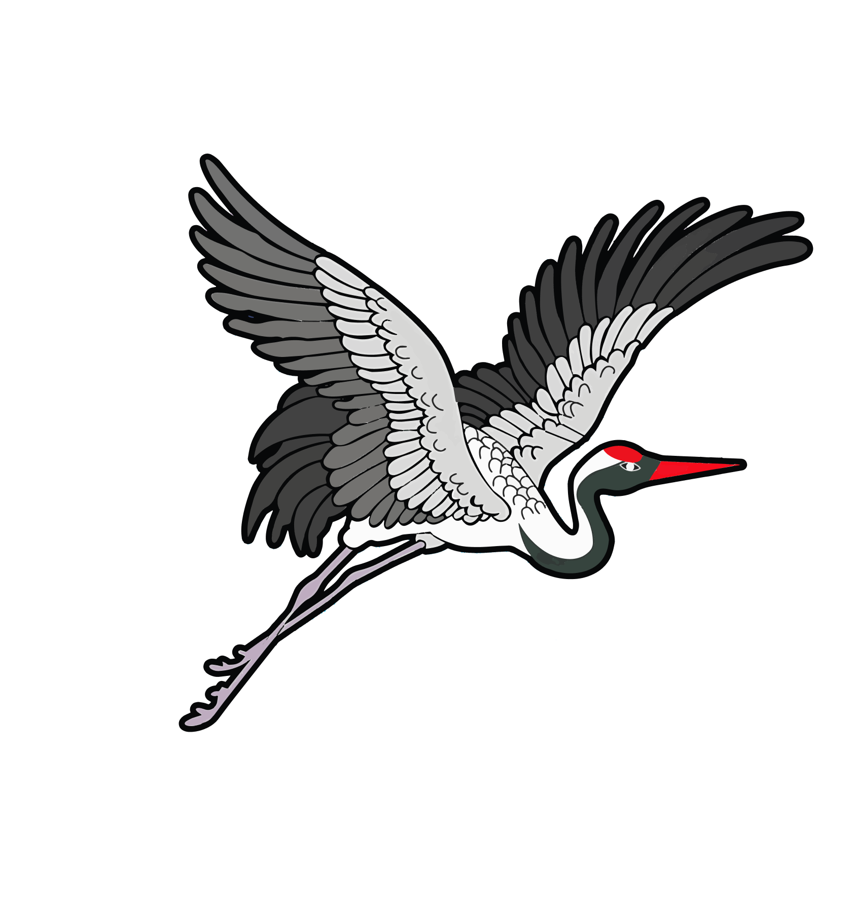 coming-soon-bird